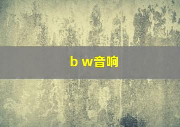 b w音响